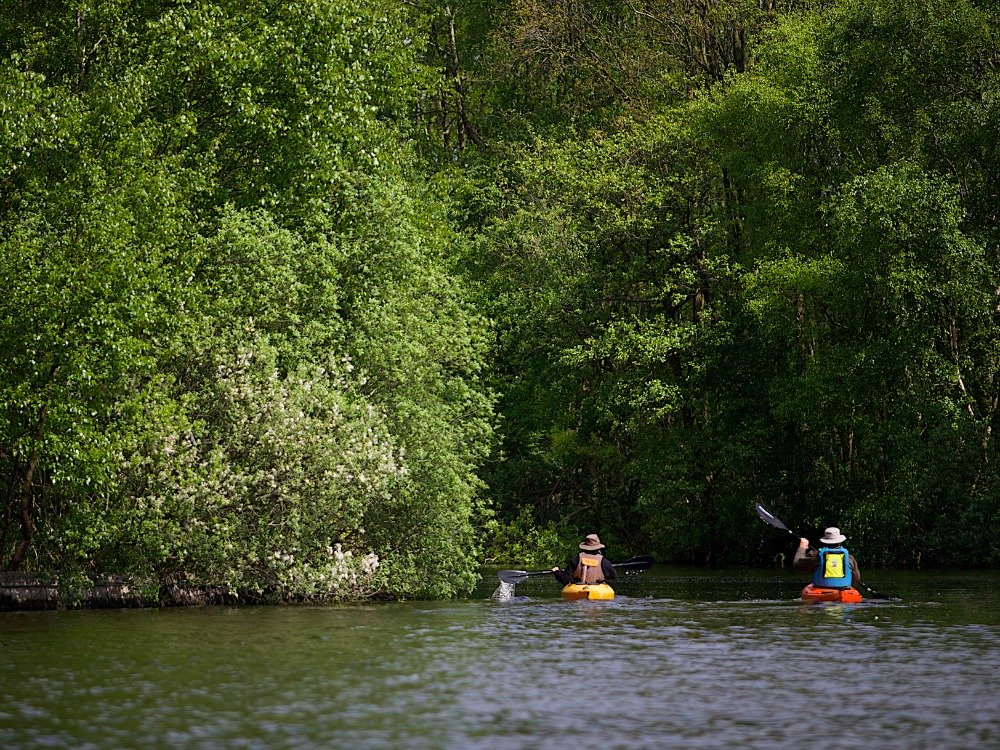 Take a canoe into the Weerribben